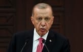 トルコのエルドアン大統領は異例の経済政策を採用するが、これにならおうとする途上国もある（6月、アンカラ）=ロイター