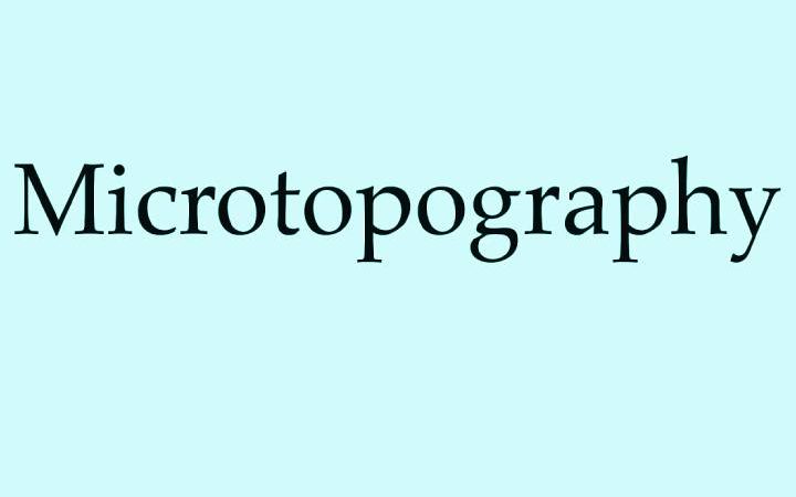 Information To Know About Microtopography