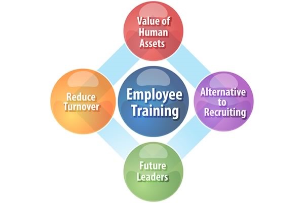 Employee Training and Development