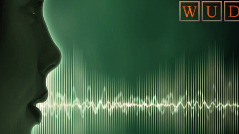 Voice Biometrics – What Is It?